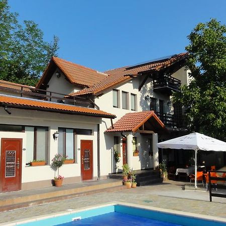 Vila Europa Sărata-Monteoru Eksteriør billede