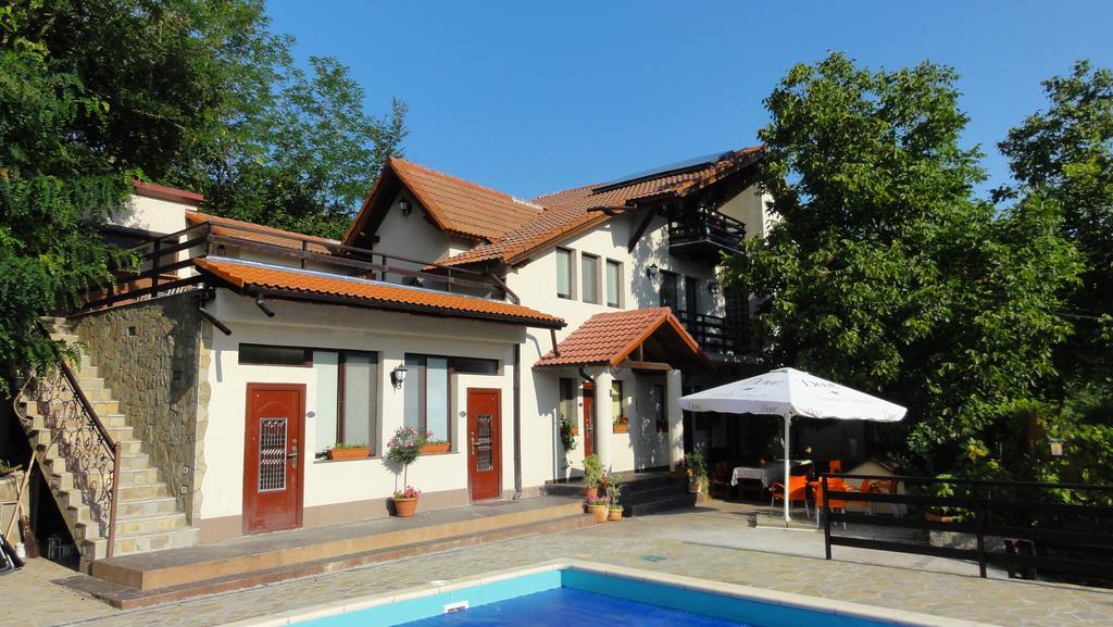 Vila Europa Sărata-Monteoru Eksteriør billede