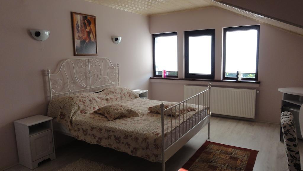 Vila Europa Sărata-Monteoru Værelse billede